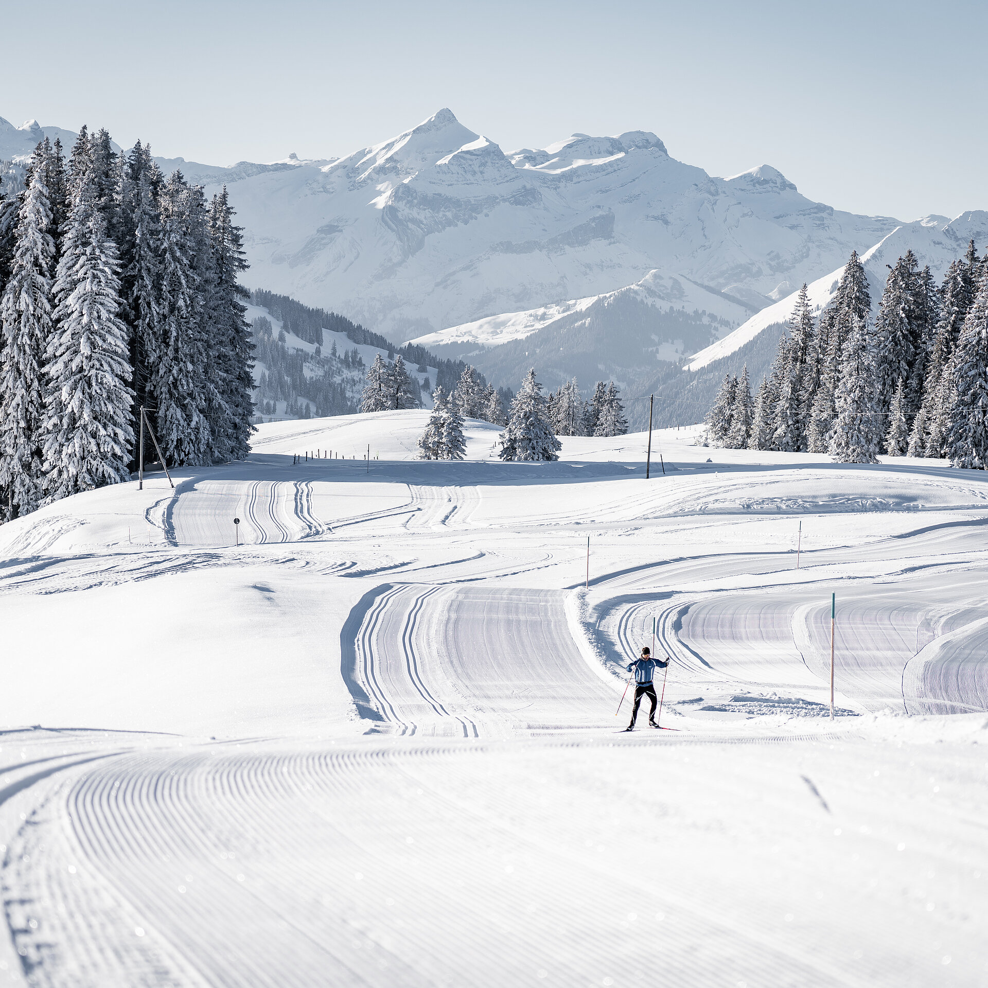 Eine präparierte Langlaufloipe mit einem schwarzgekleideten Langläufer und im Hintergrund verschneite Berge und Tannen.