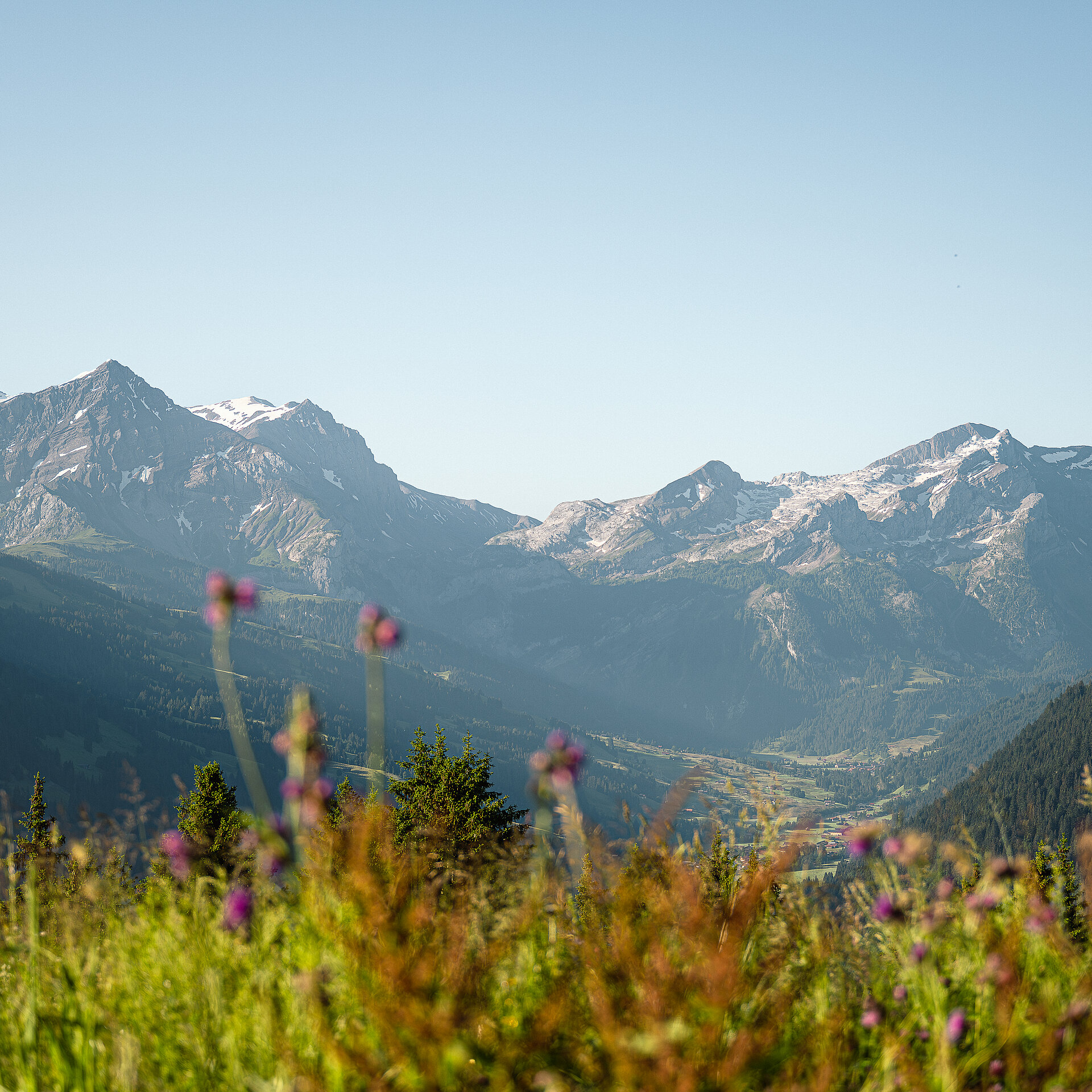 Aussicht vom Eggli in Richtung Süden.