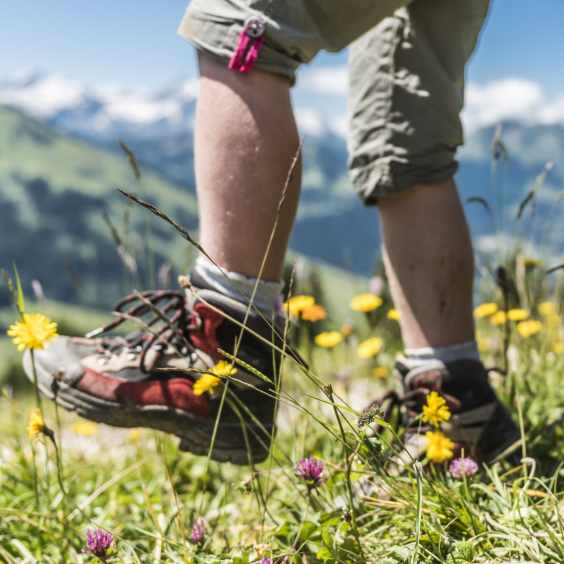 Beine und Füsse von zwei Personen. Fokus auf Wanderschuhe beim Gehen. Darunter Grüne Wiesen.&nbsp;