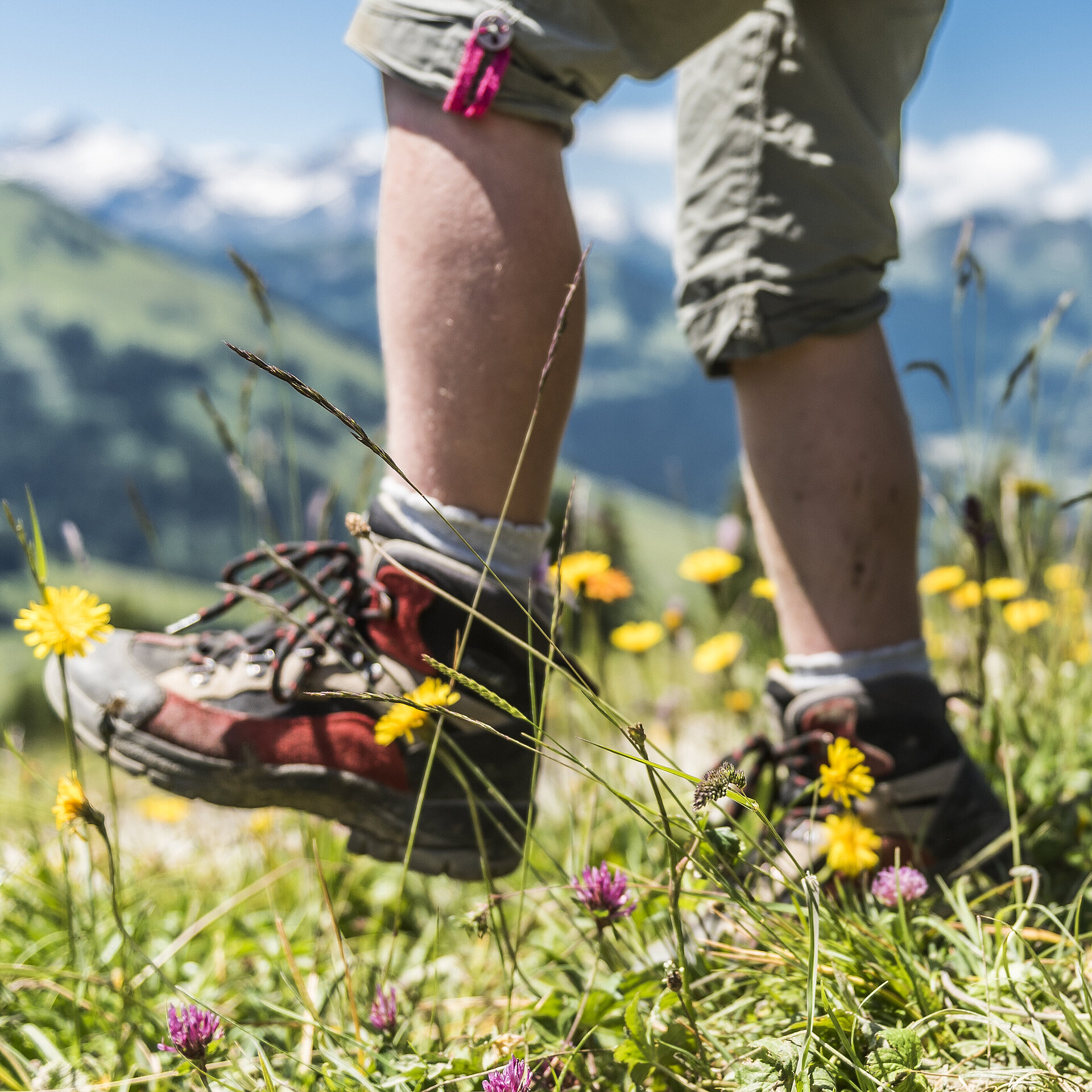 Beine und Füsse von zwei Personen. Fokus auf Wanderschuhe beim Gehen. Darunter Grüne Wiesen.&nbsp;