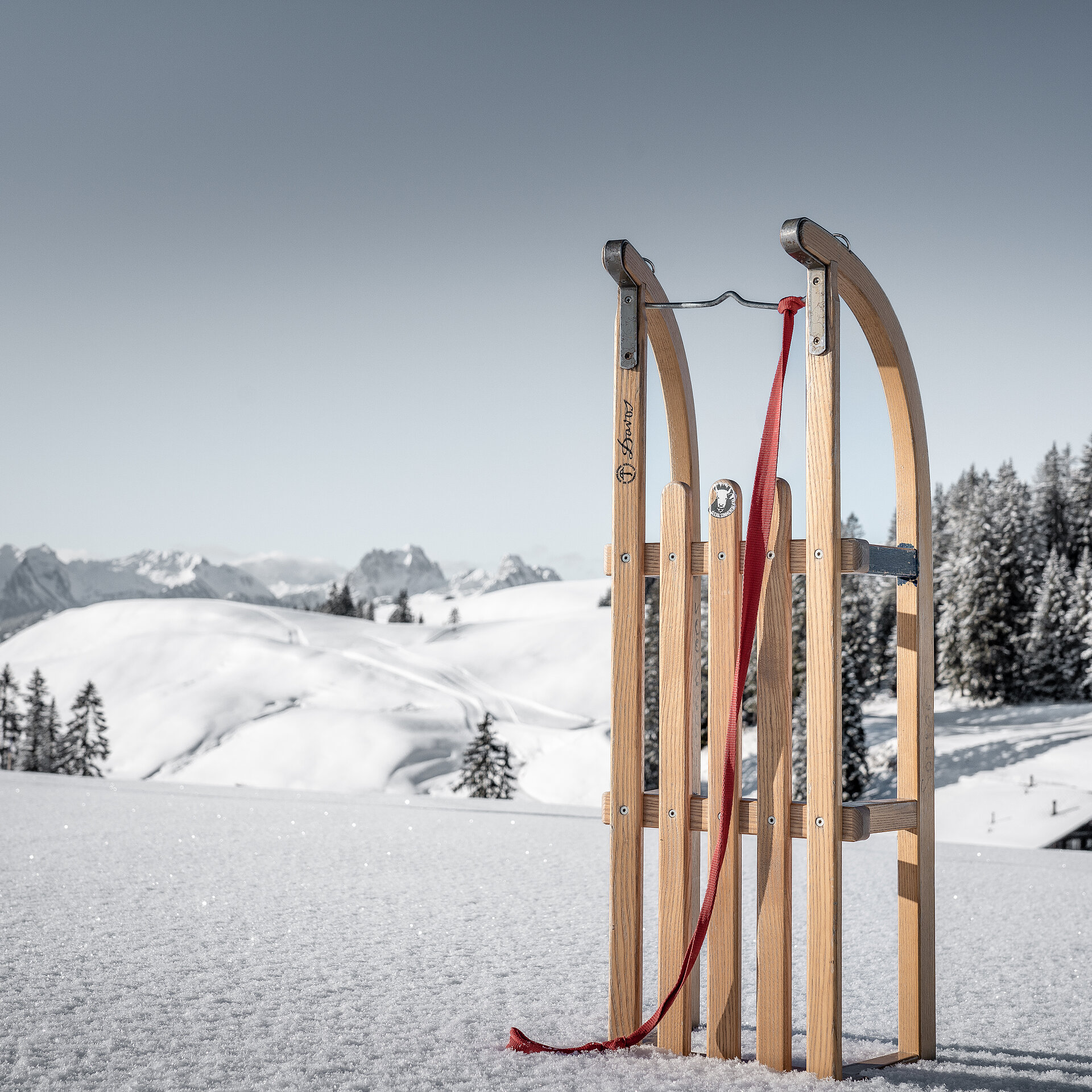 Hölzerner Schlitten hochkant in den Schnee gesteckt, vor einer verschneiten Bergkulisse bei strahlend schönem Wetter.