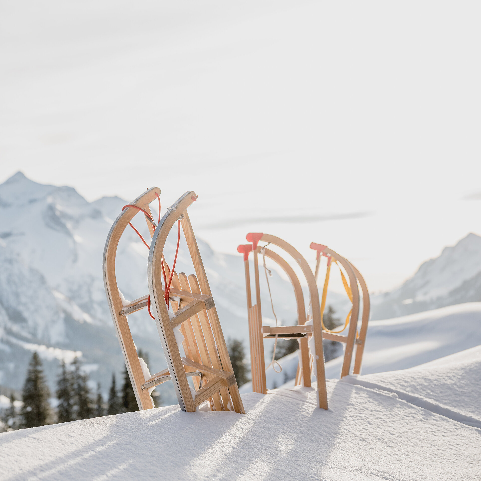 Drei hölzerne Schlitten stehen zuoberst auf dem Berg im frischen Pulverschnee. Im Hintergrund weisse Berggipfel.