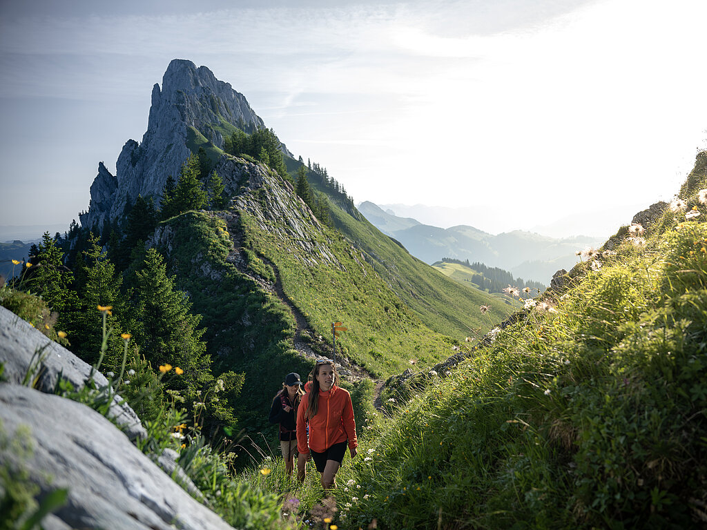 Eine Wanderin mit roter Jacke wandert über einen Grat in einer grünen Berglandschaft.