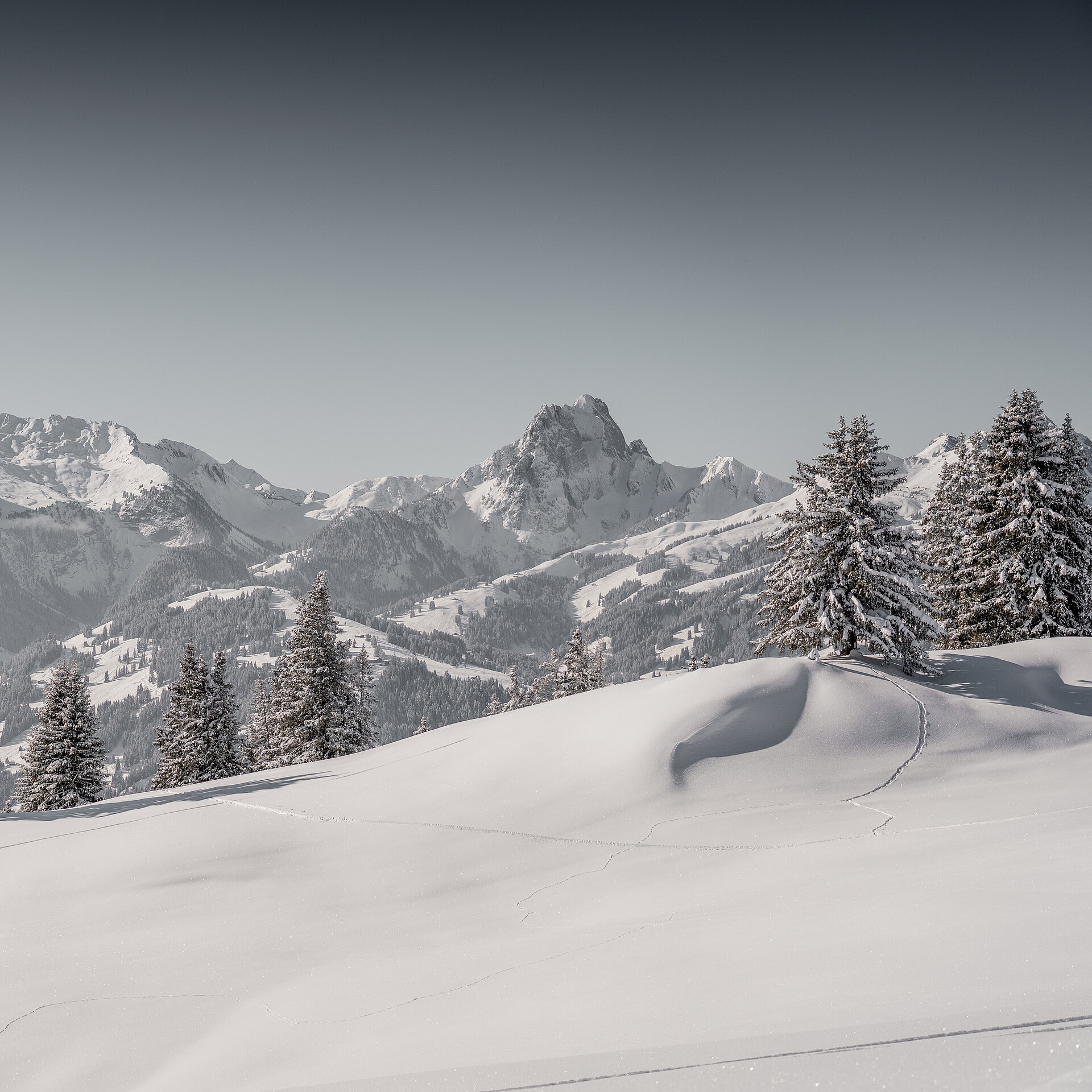 Eine verschneite Berglandschaft mit Bäumen.