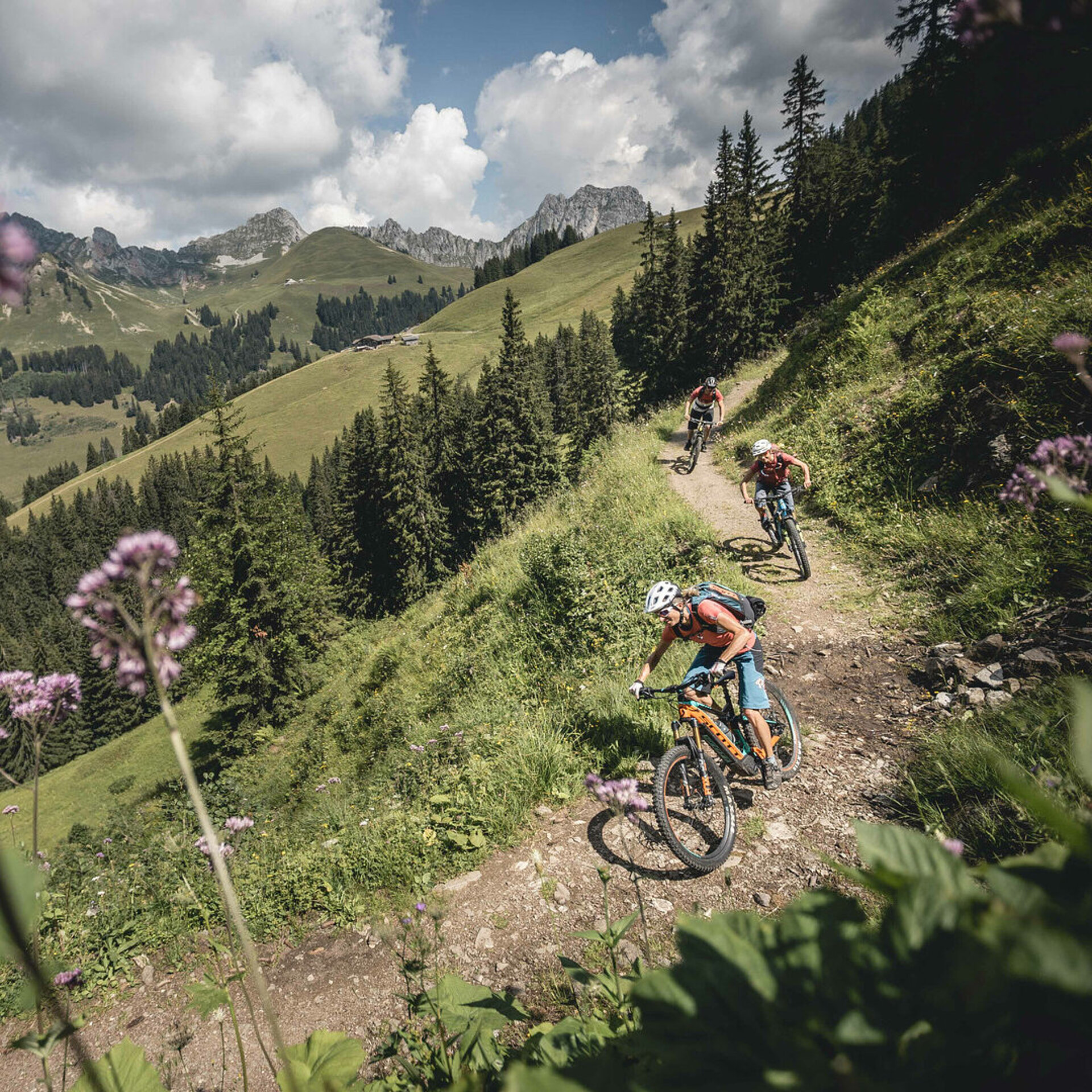 Zwei Frauen und ein Mann fahren auf ihren E-Mountainbike den Schneit Trail mit Mittelberg her. Der Trail ist breit und erdig. Im Vordergund hat es ein paar unscharfe, violette Blumen.