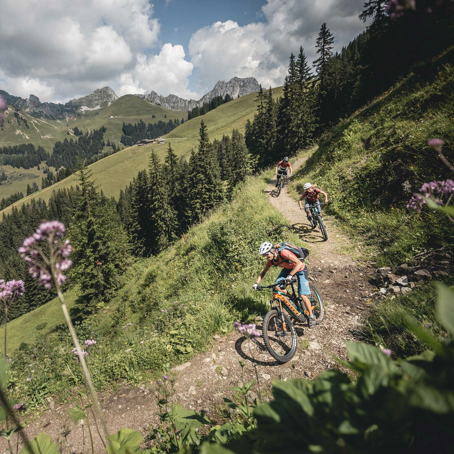 <p>Zwei Frauen und ein Mann fahren auf ihren E-Mountainbike den Schneit Trail mit Mittelberg her. Der Trail ist breit und erdig. Im Vordergund hat es ein paar unscharfe, violette Blumen.</p>