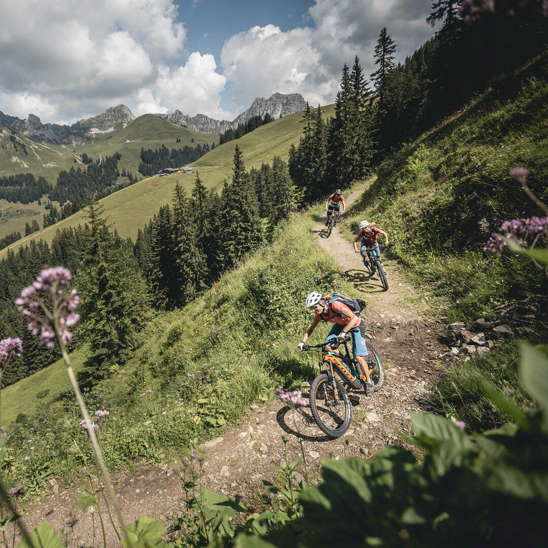 Zwei Frauen und ein Mann fahren auf ihren E-Mountainbike den Schneit Trail mit Mittelberg her. Der Trail ist breit und erdig. Im Vordergund hat es ein paar unscharfe, violette Blumen.