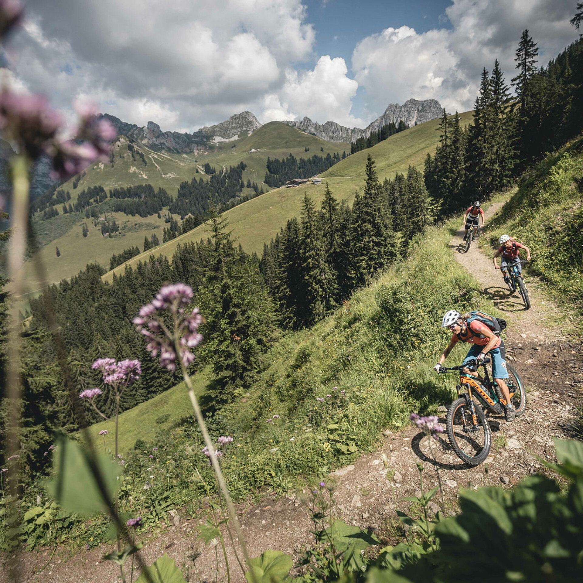 Zwei Frauen und ein Mann fahren auf ihren E-Mountainbike den Schneit Trail mit Mittelberg her. Der Trail ist breit und erdig. Im Vordergund hat es ein paar unscharfe, violette Blumen.