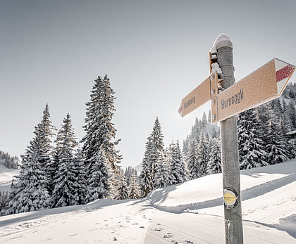 Zwei gelbe Wanderwegweiser mit weiss-rot-weissen Pfeilen und schwarzer Aufschrift Horneggli und Hornberg auf frisch verschneitem Winterwanderweg mit Wald im Hintergrund.