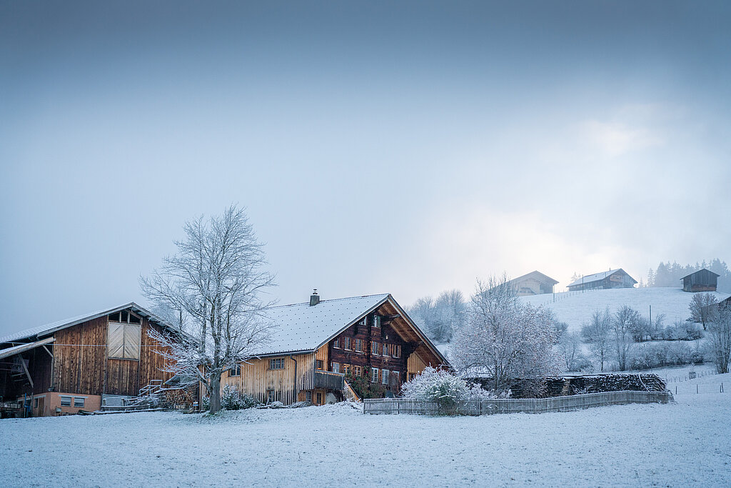 Bauernhaus und Scheune mit Garten in winterlicher Landschaft.