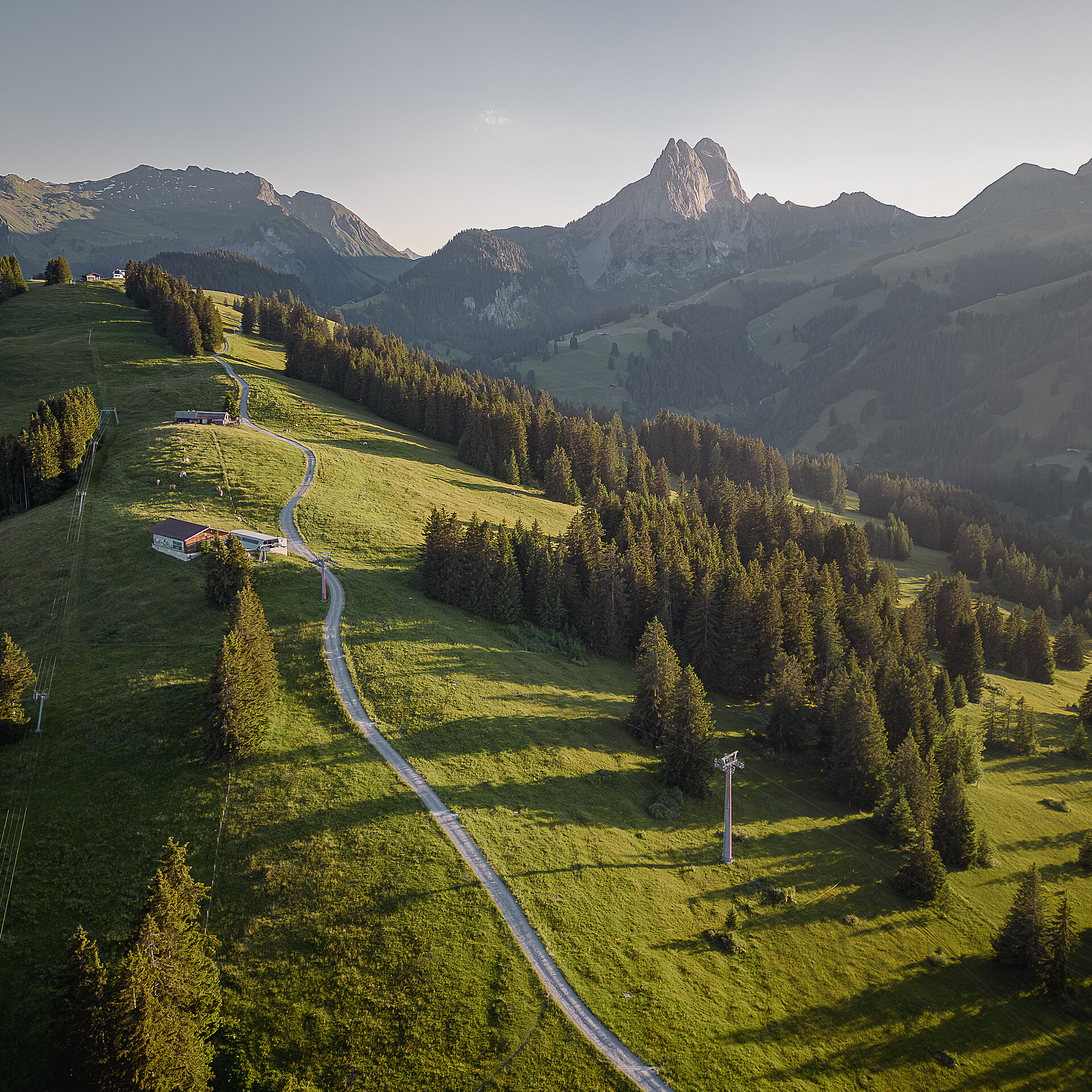 Herrliche Bergwelt mit grünen Wiesen und vielen dunklen Tannen. Wanderweg in der Mitte und weites Bergpanorama.