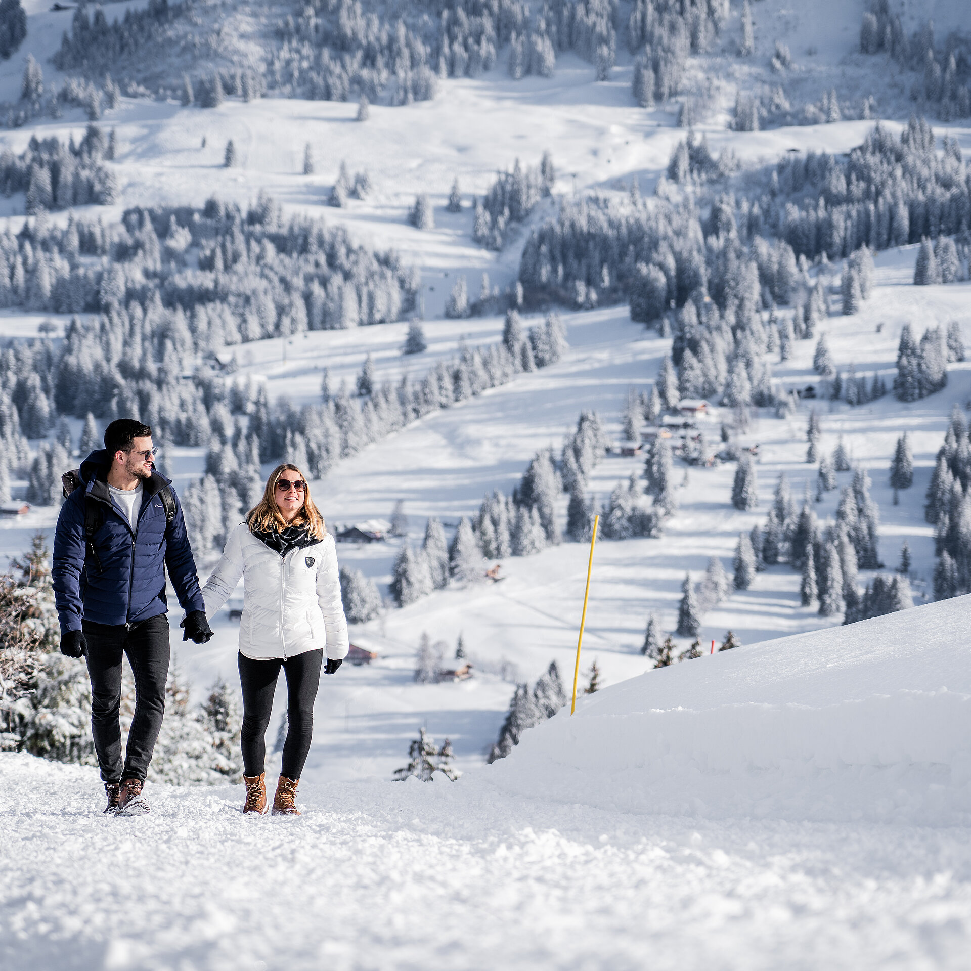 Zwei Personen wandern auf einem präparierten Winterwanderweg der ansteigt. Er trägt eine blaue Winterjacke und sie ist in eine weisse Daunenjacke gehüllt. Beide tragen schwarze Hosen. Hinter ihnen sieht man verschneite Tannen und Weiden.