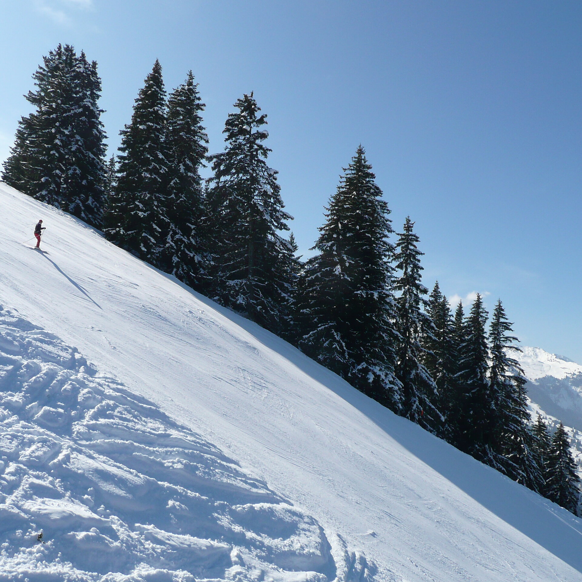 Ausschnitt auf die Tiger Trail Skipiste.