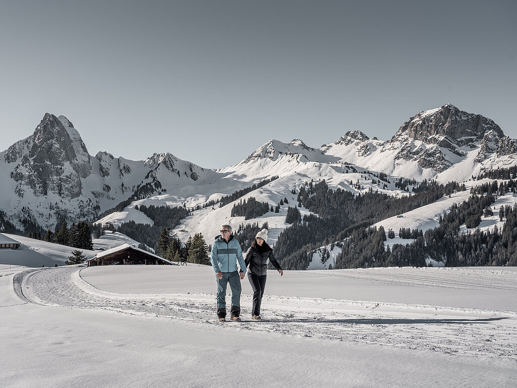 Pärchen wandert Hand in Hand auf einem Winterwanderweg mit verschneiter Bergkulisse