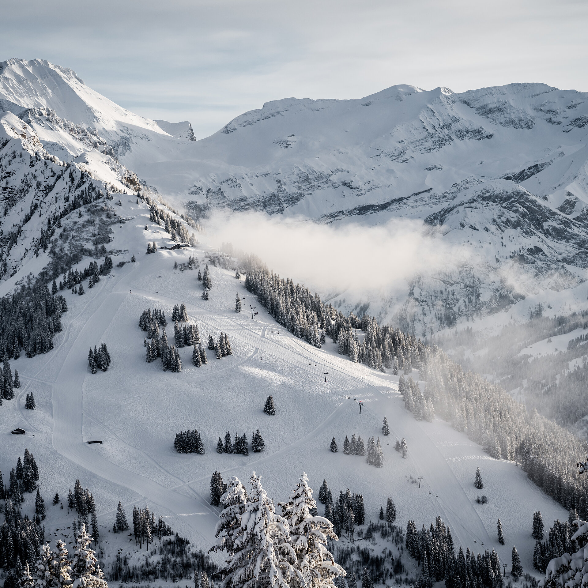 Weitsicht auf den Wasserngrat Berg, viele schneebedeckte Tannen und leichte Wolken hängen zwischen den Bergen.&nbsp;