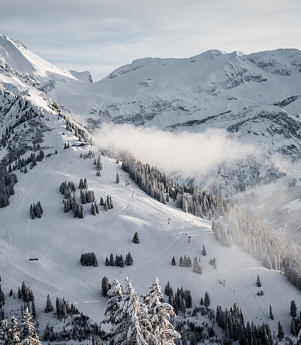 Weitsicht auf den Wasserngrat Berg, viele schneebedeckte Tannen und leichte Wolken hängen zwischen den Bergen.&nbsp;